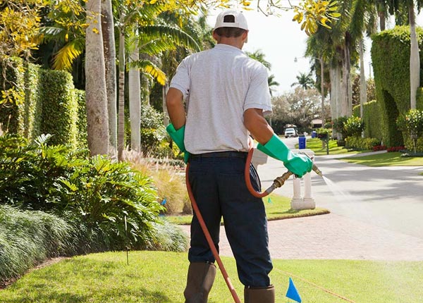 About Live Oak FL Pest Control Pros